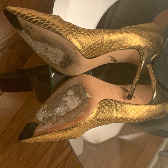 Gold Snake - Picture 11 of 12